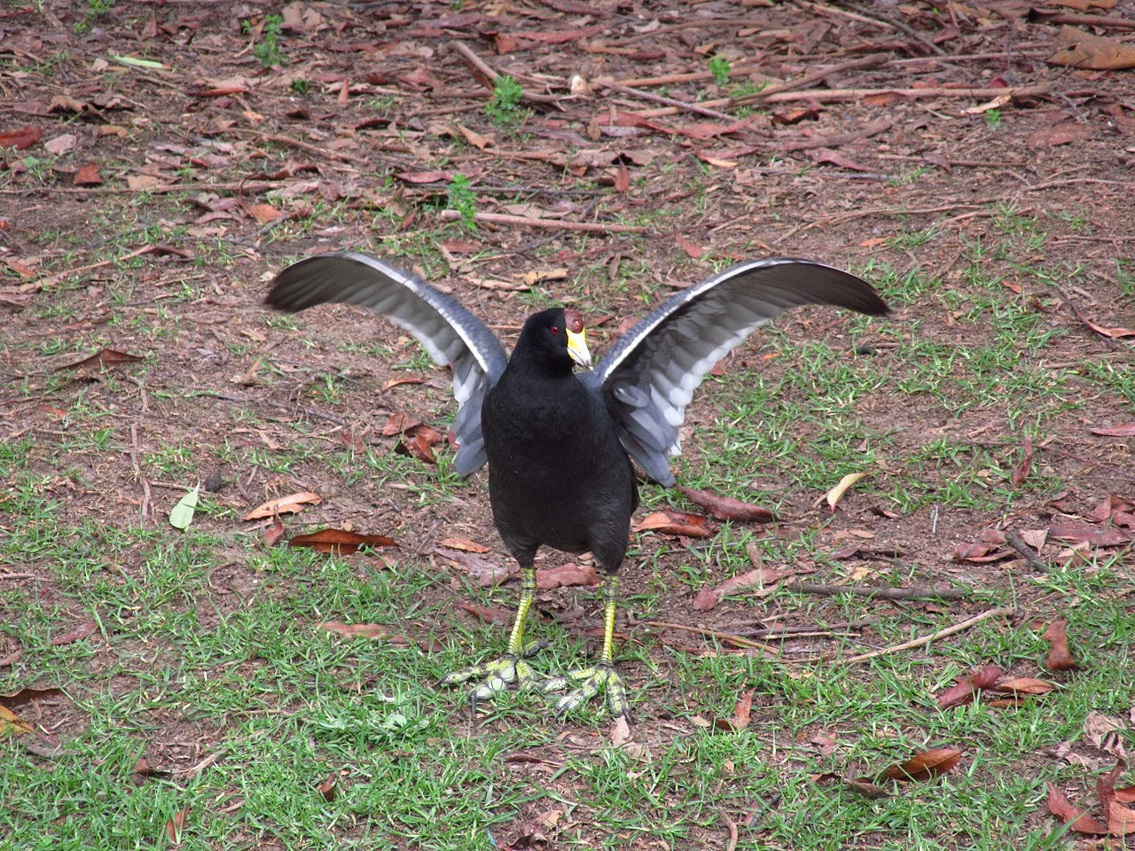 Photo of Santa María