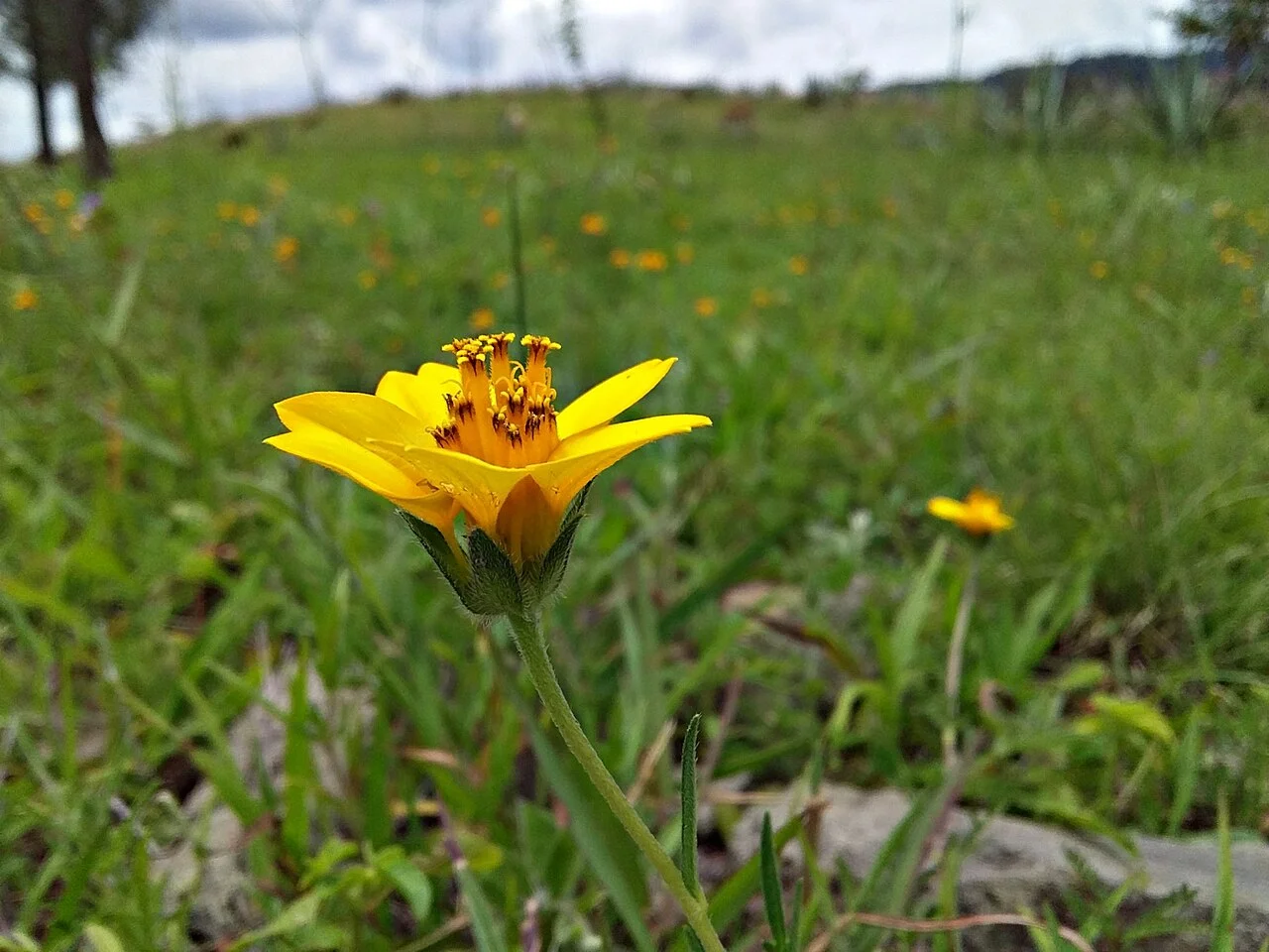 Photo of Santa María Sola