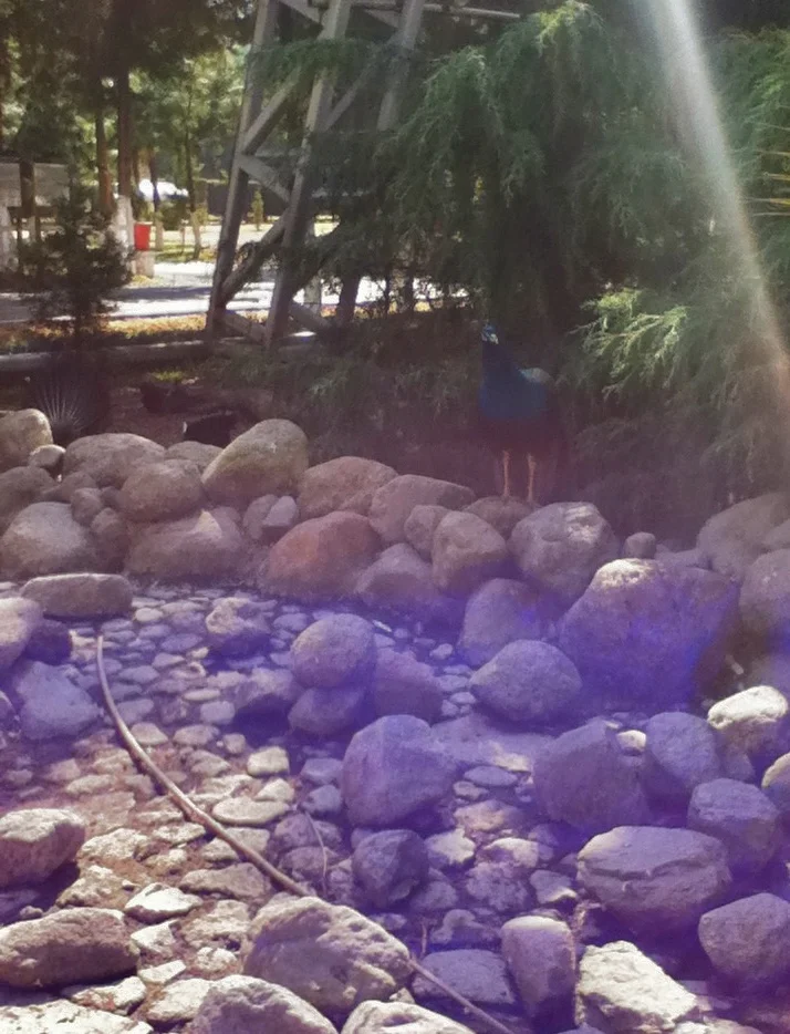 Photo of Santa María Xonacatepec