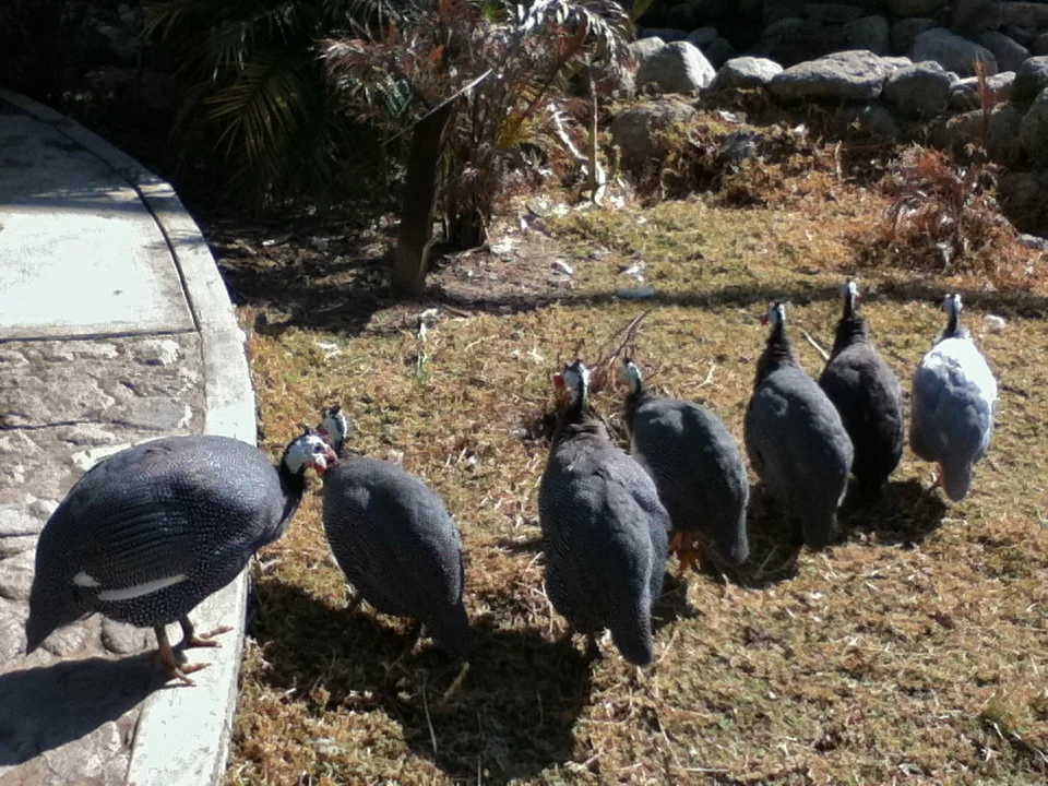 Photo of Santa María Xonacatepec