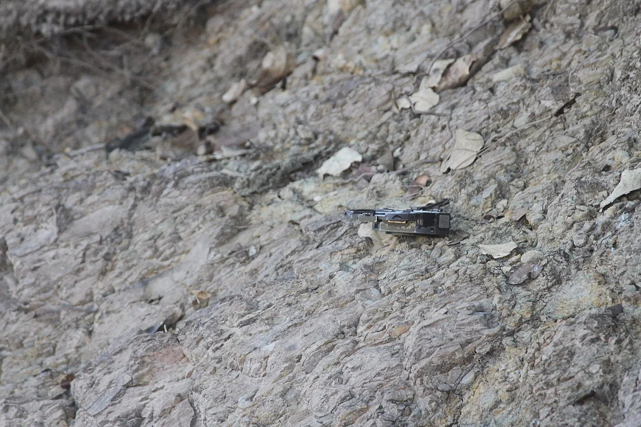 Photo of Santa Rita do Araguaia