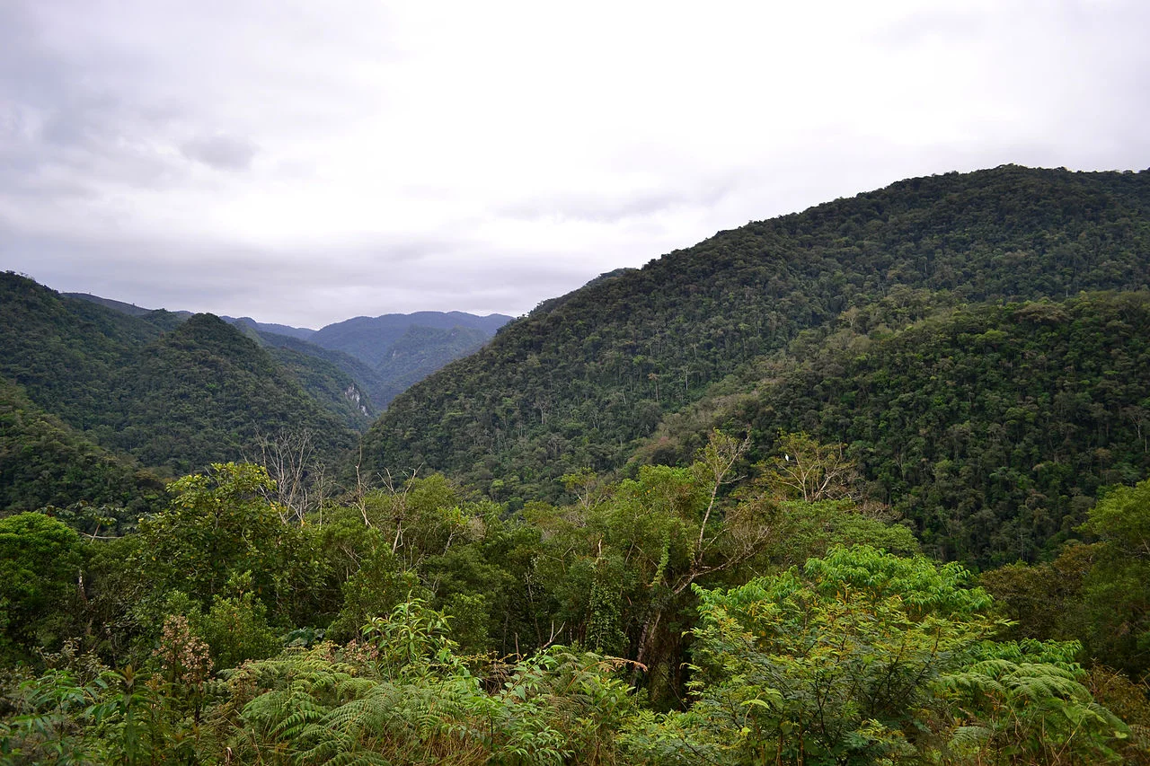 Photo of Santana da Boa Vista