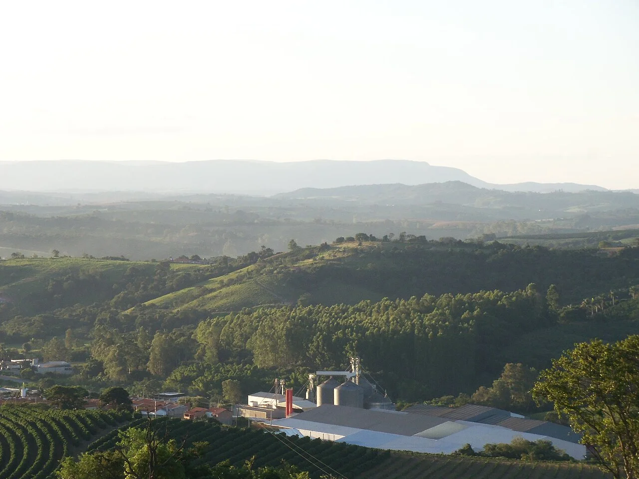 Photo of Santana da Boa Vista