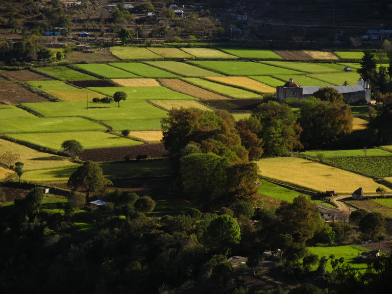 Photo of Santiago Apoala