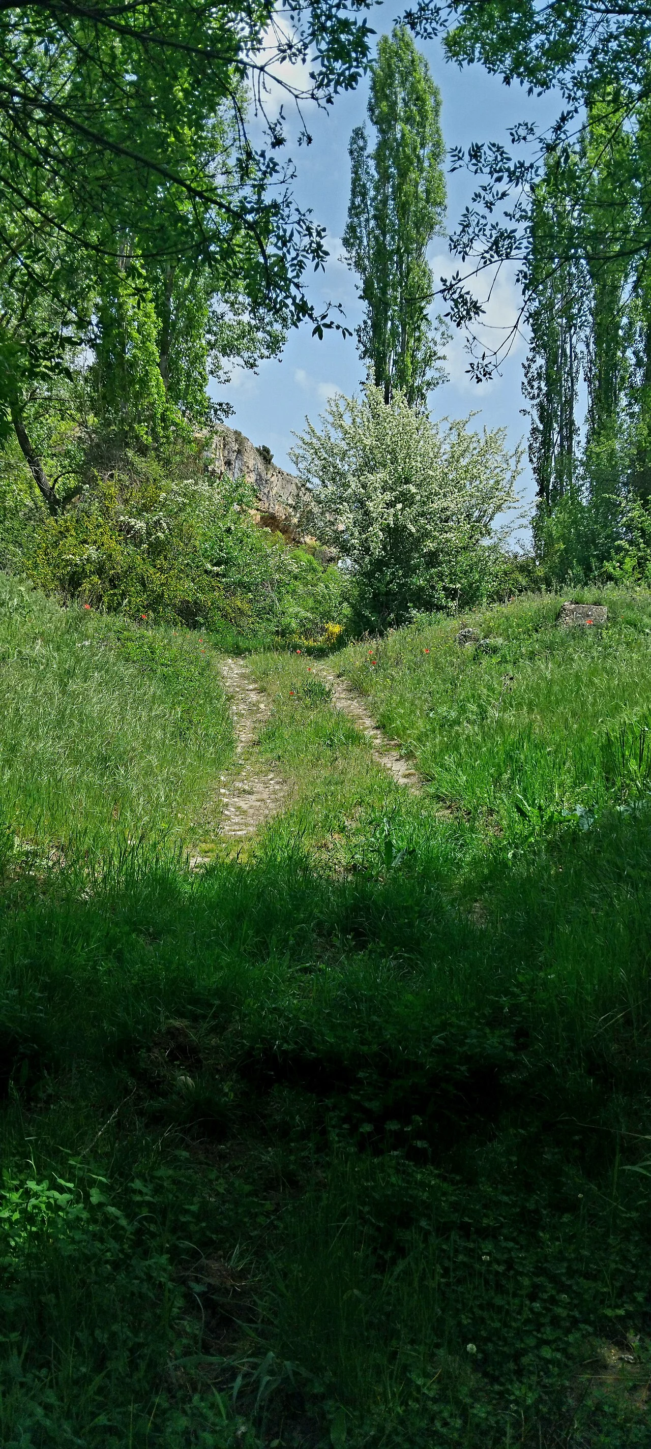 Photo of Santiago de la Puebla