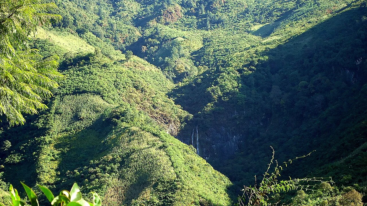 Photo of Santiago Nuyoó