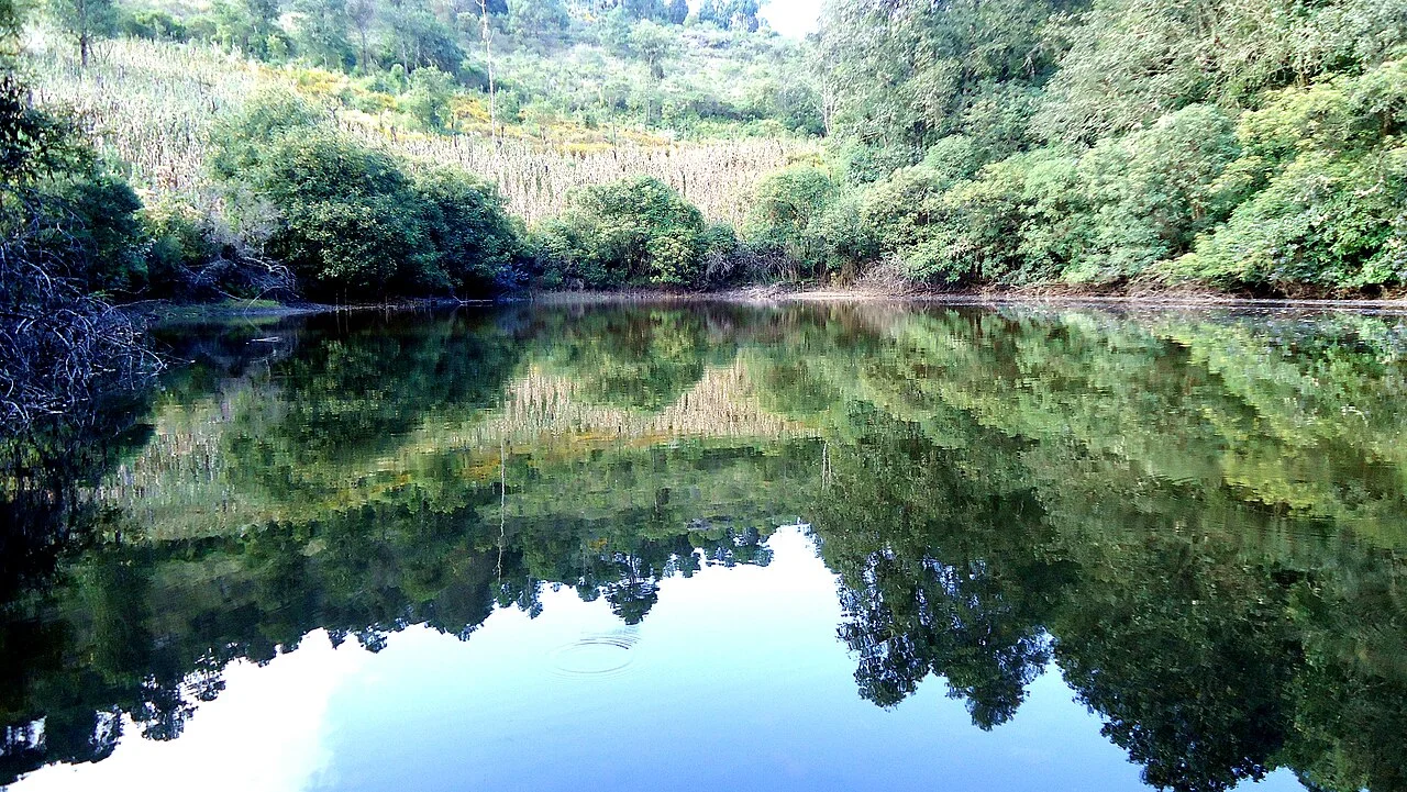 Photo of Santiago Nuyoó