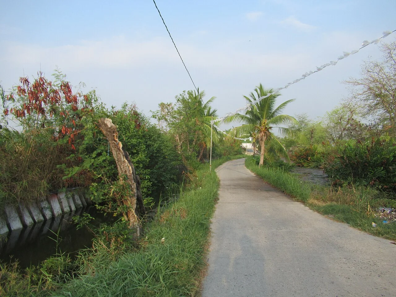 Photo of Santo Rosario