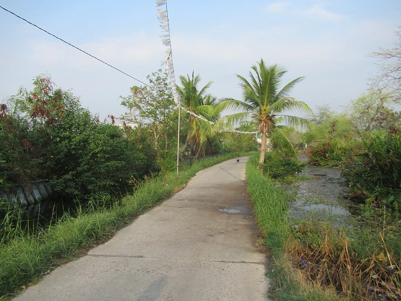 Photo of Santo Rosario