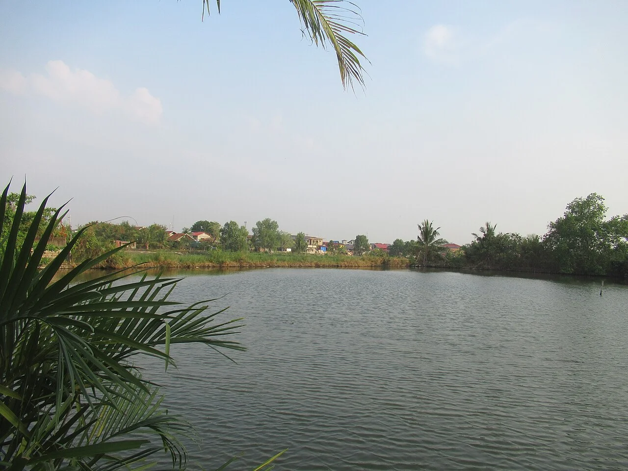 Photo of Santo Rosario