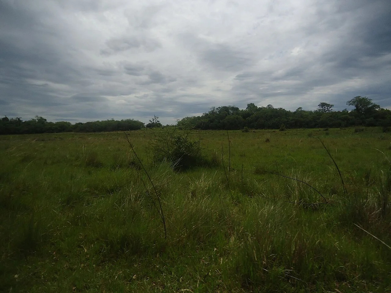 Photo of Santo Tomé