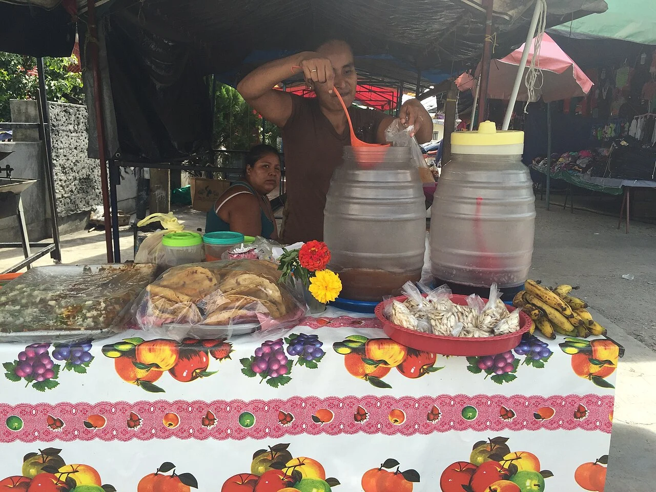 Photo of Santos Reyes Nopala