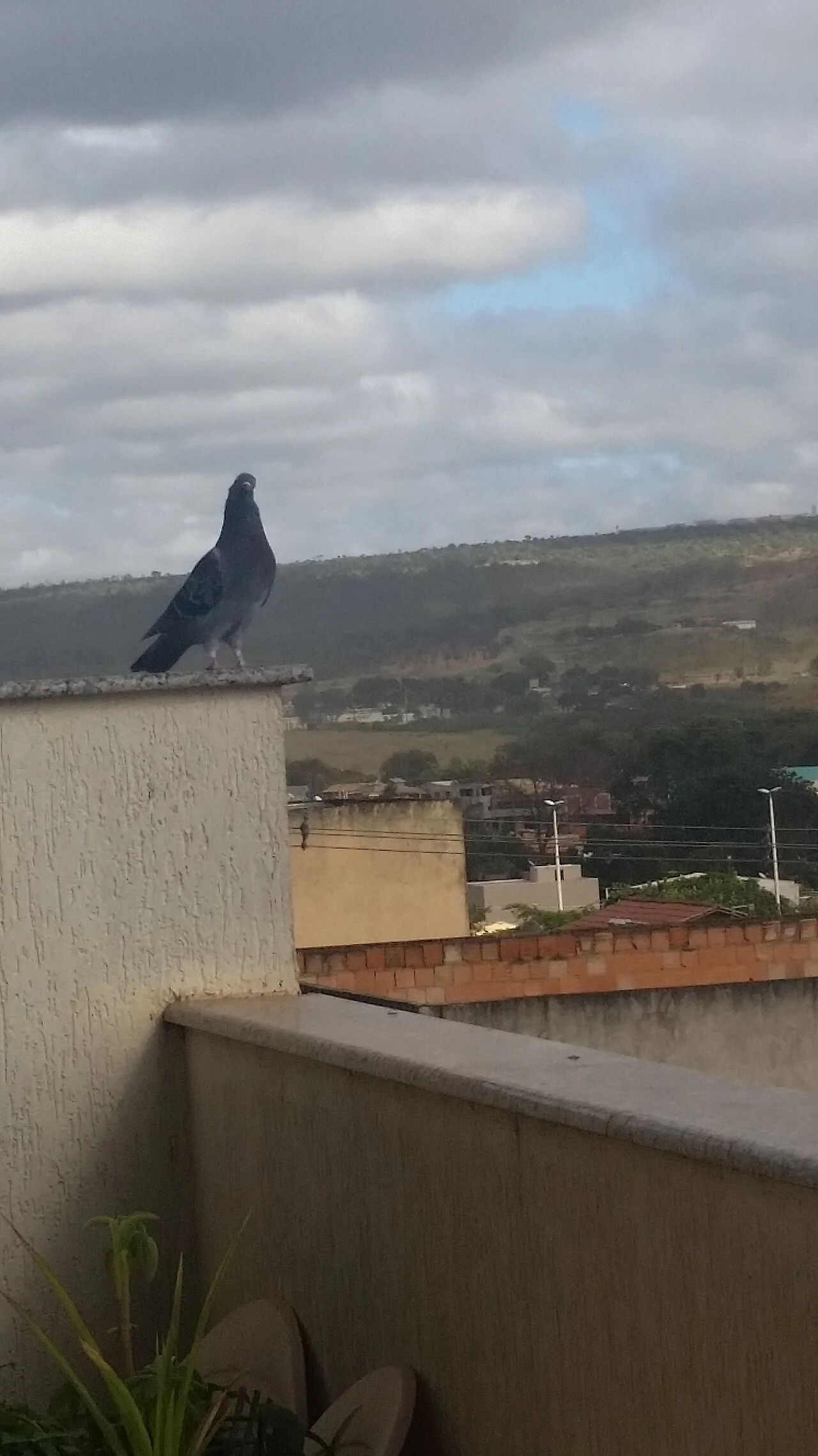 Photo of Sanza Pombo