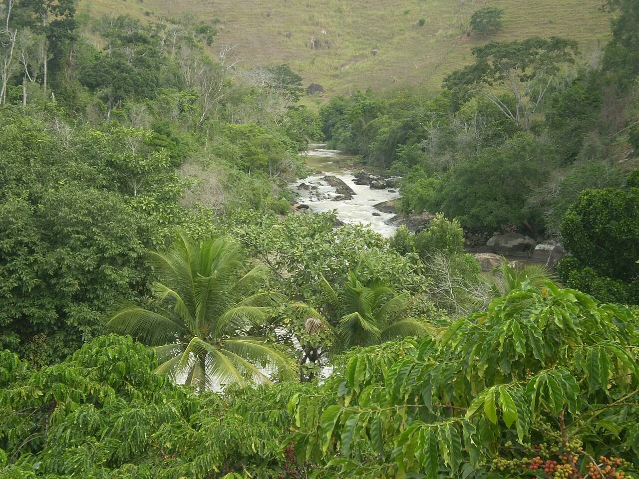 Photo of São Gabriel da Palha