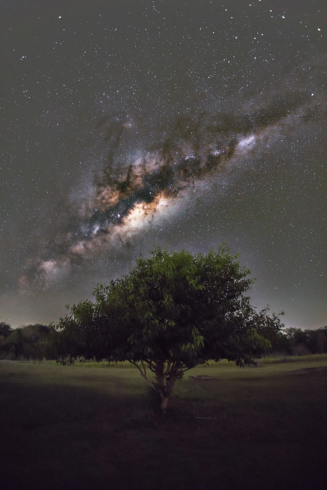 Photo of São João do Pau d'Alho