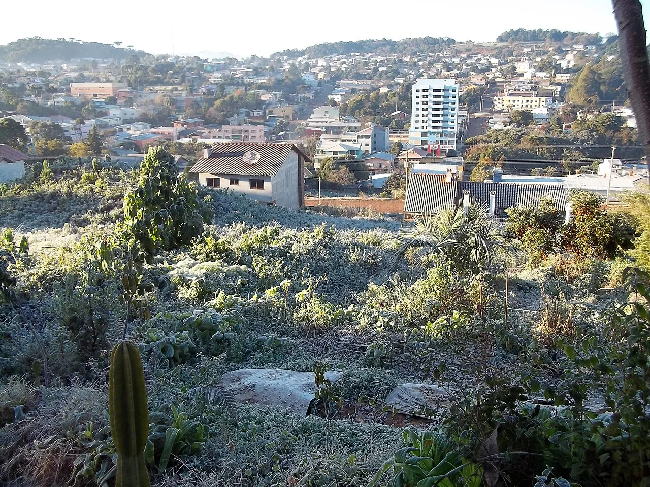 Photo of São José do Ouro