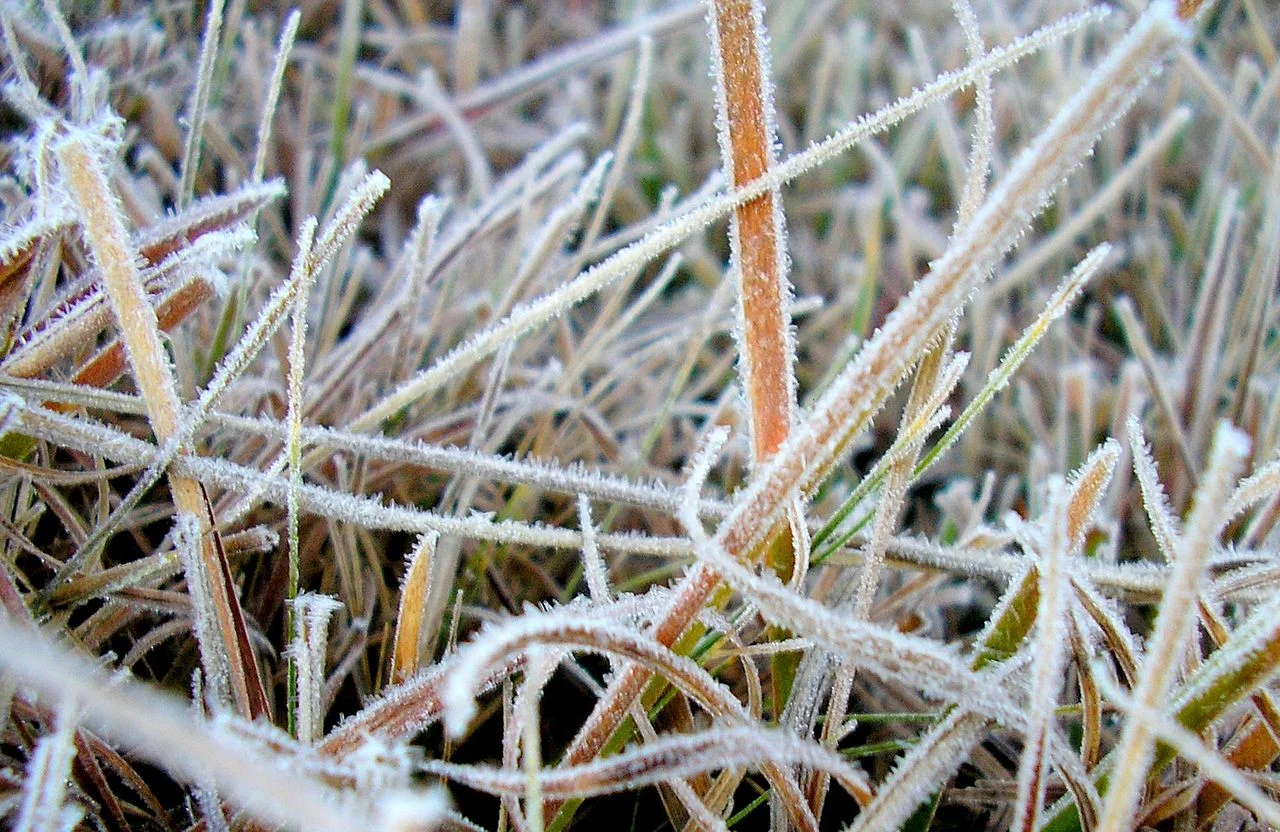 Photo of São José dos Ausentes