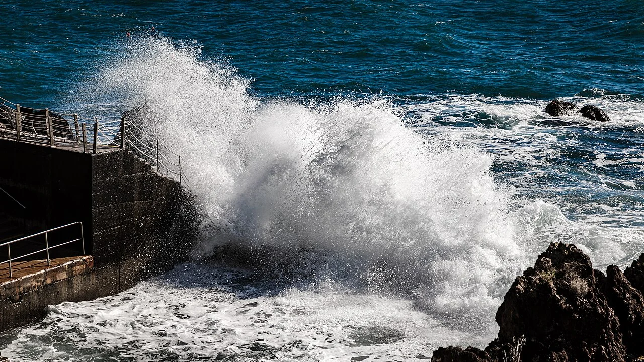 Photo of São Martinho