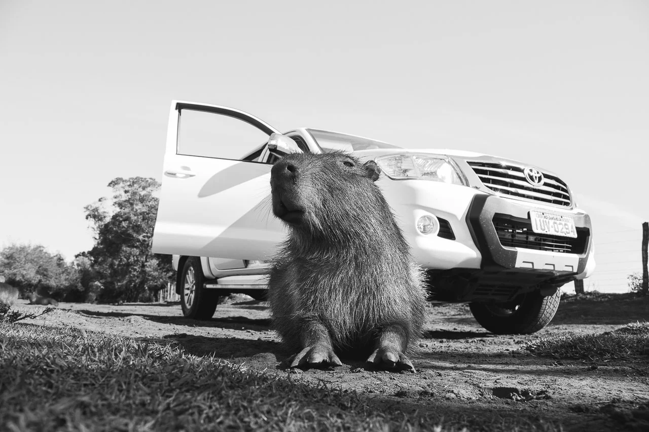 Photo of São Pedro do Butiá