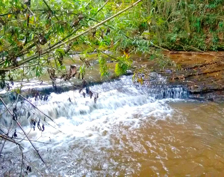 Photo of São Pedro do Paraná