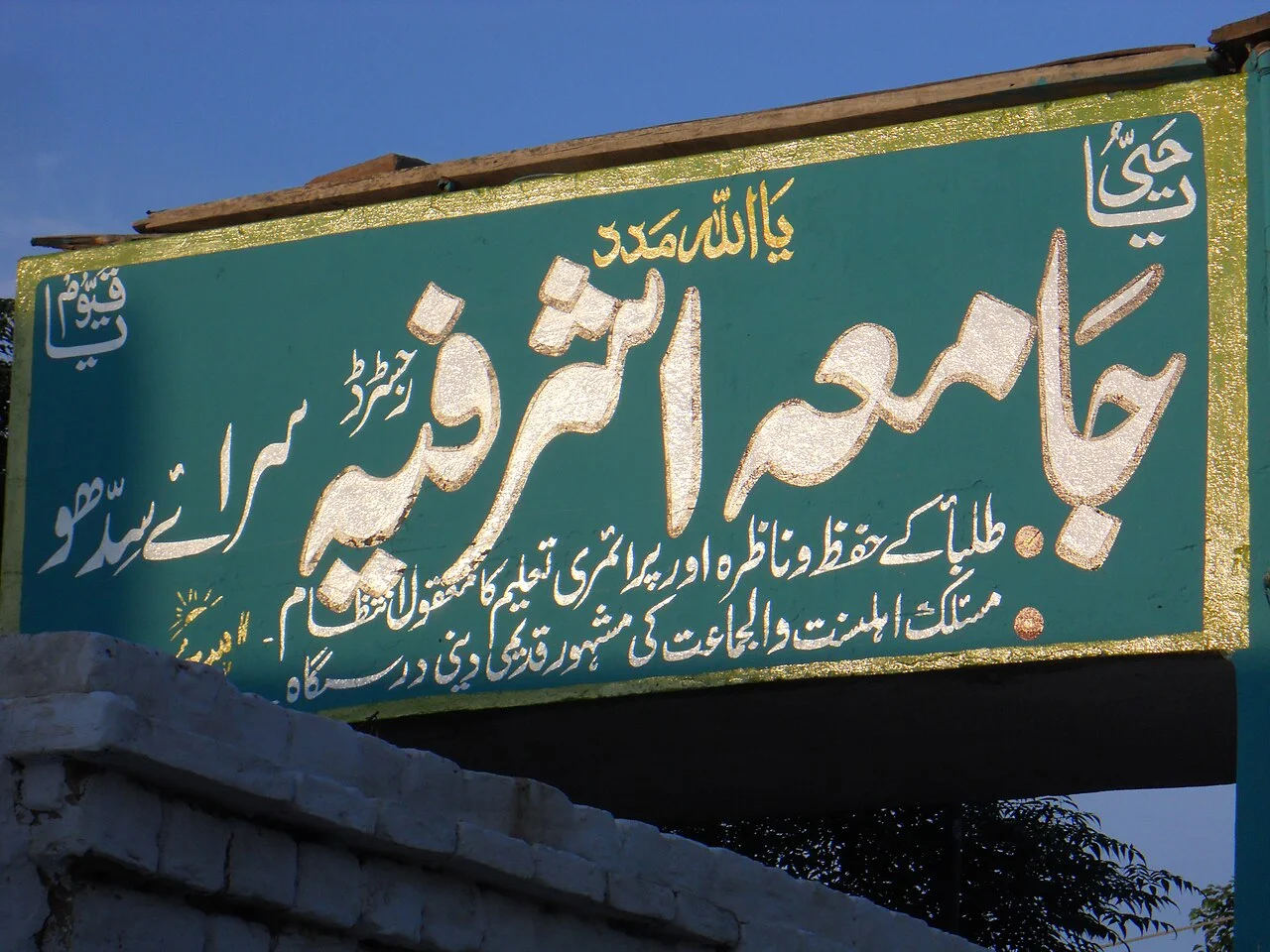 Photo of Sarai Sidhu