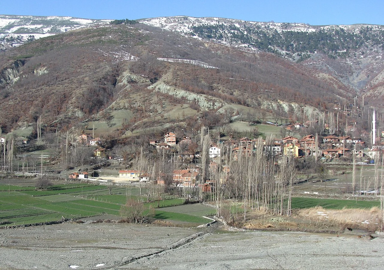 Photo of Sarıdibek