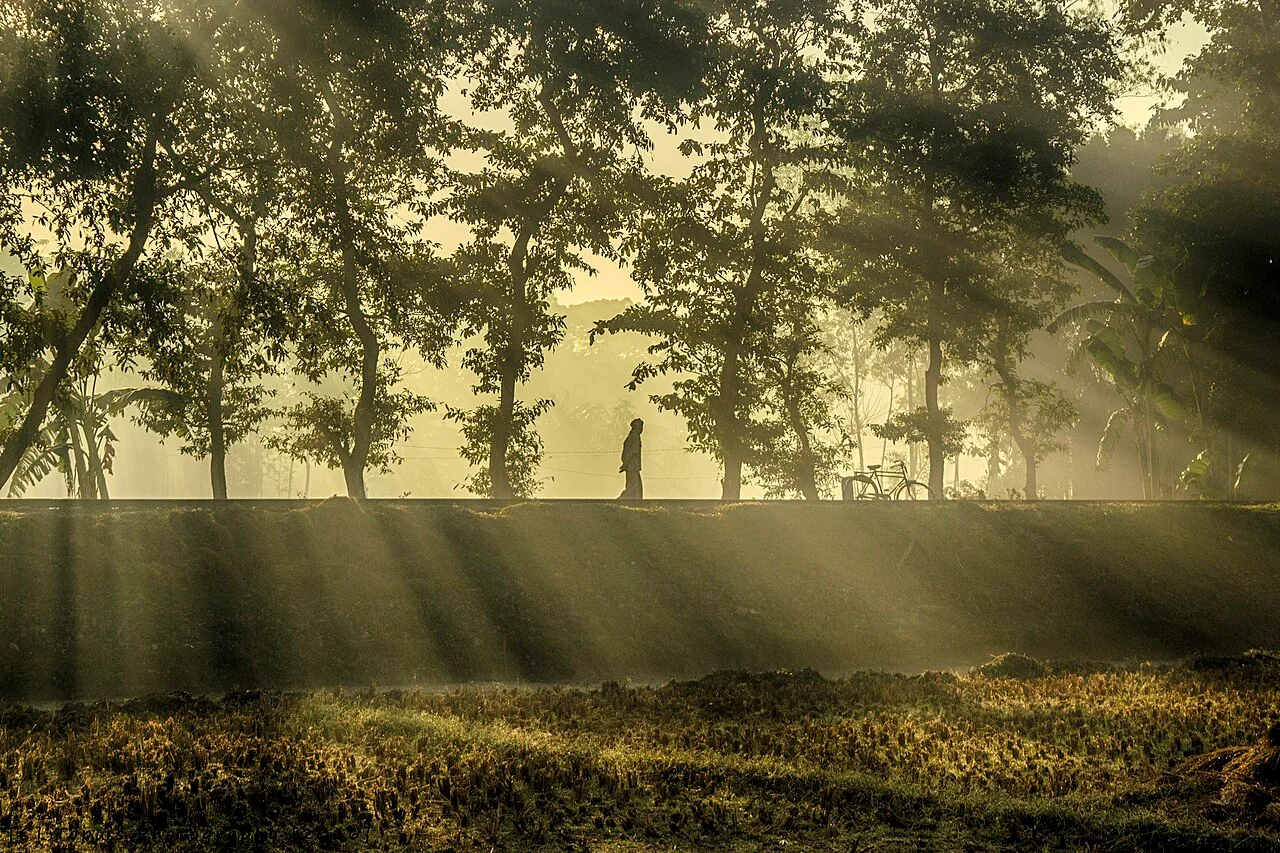 Photo of Sarishābāri