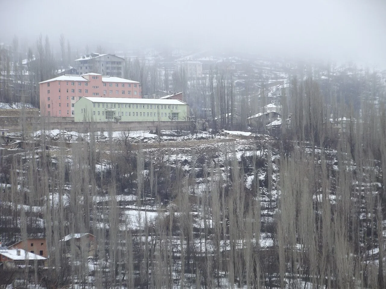 Photo of Sarıveliler