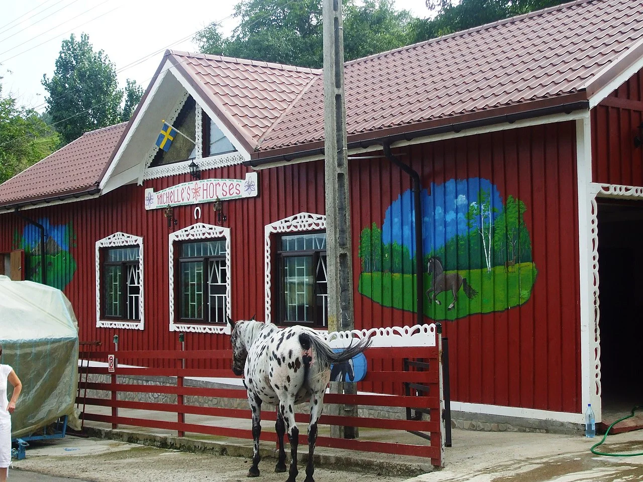 Photo of Săruleşti