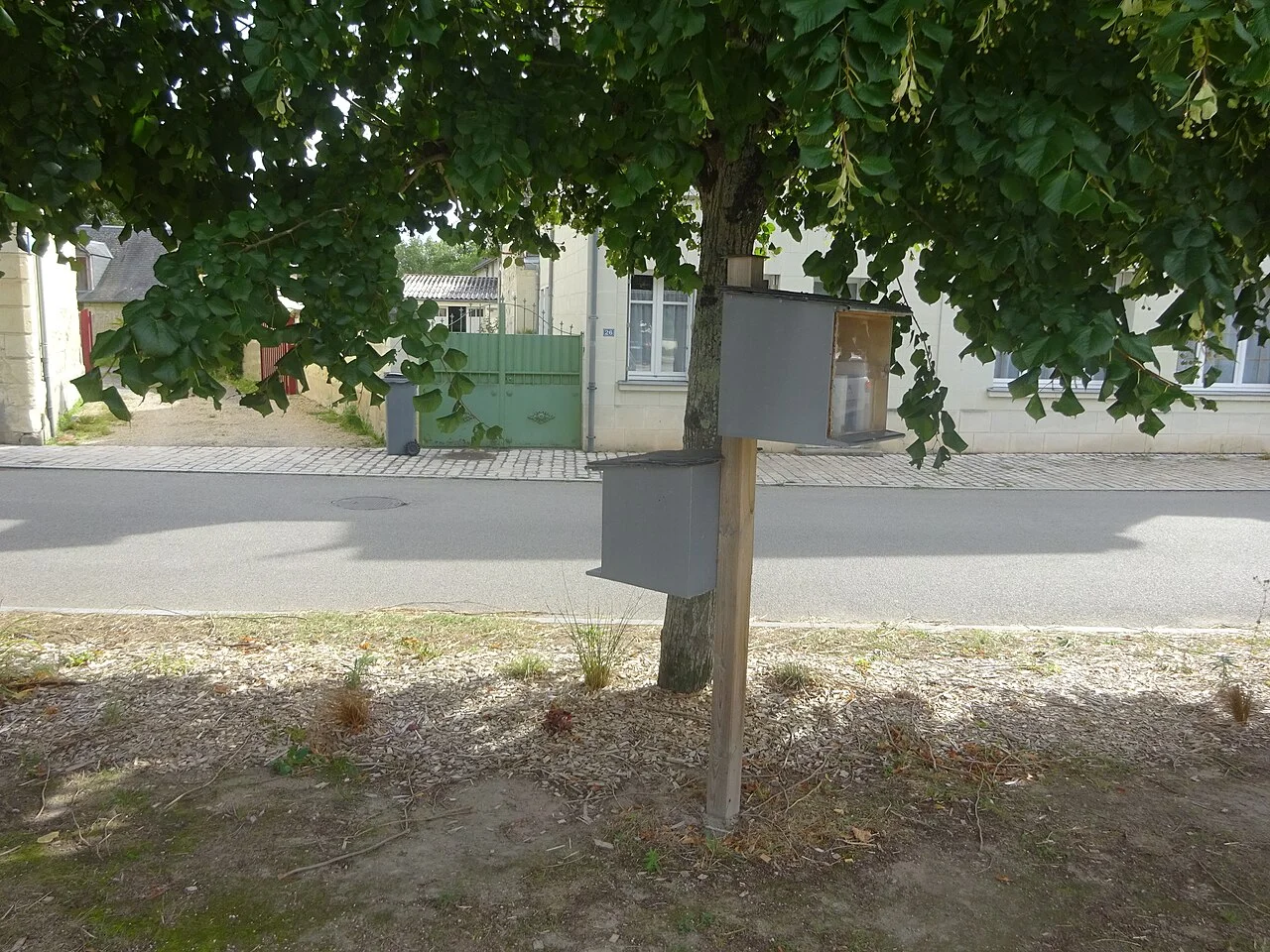 Photo of Savigny-en-Véron