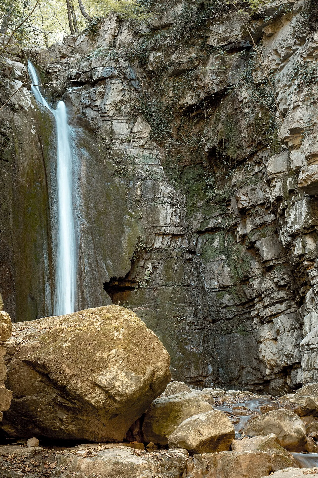 Photo of Savoia di Lucania