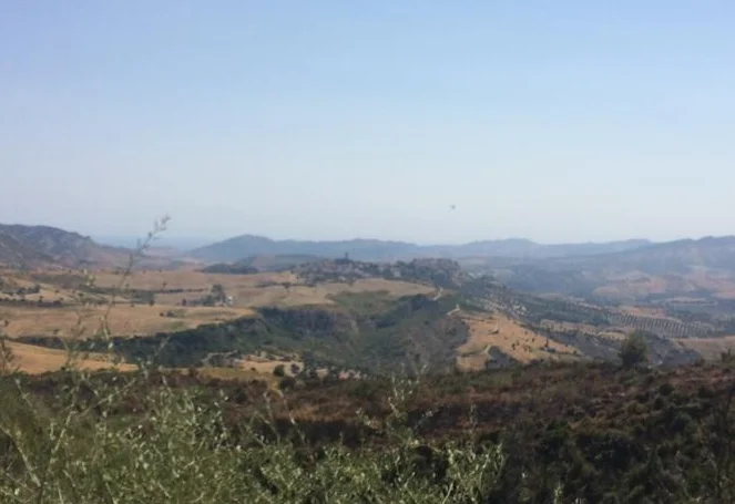 Photo of Scala Coeli