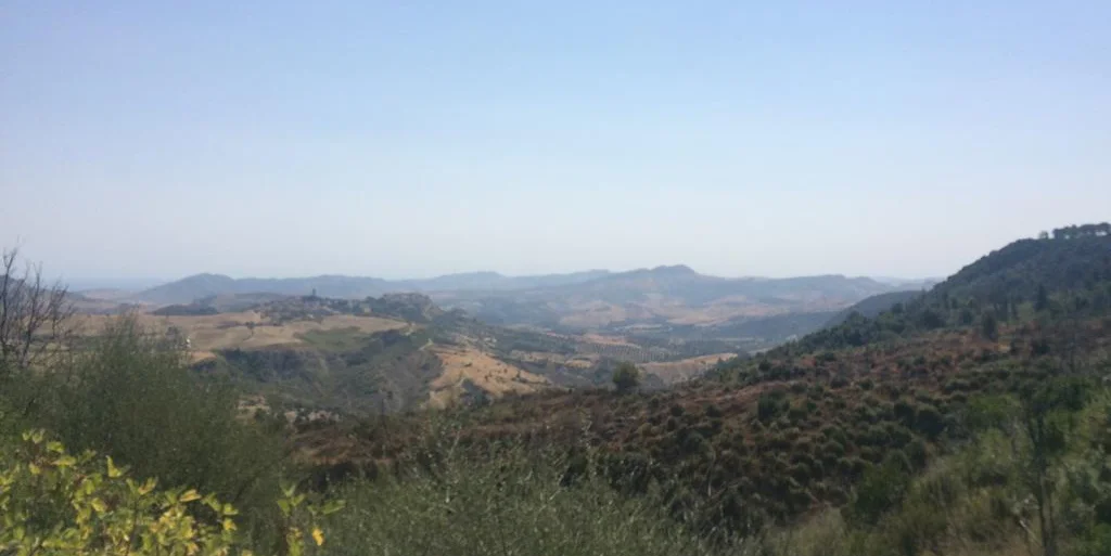 Photo of Scala Coeli