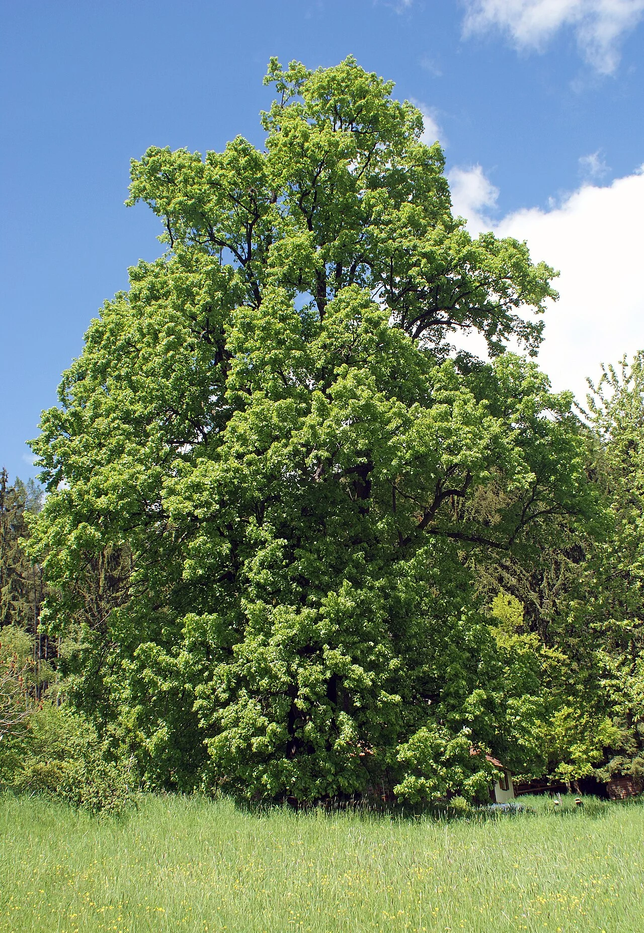 Photo of Schachen bei Vorau