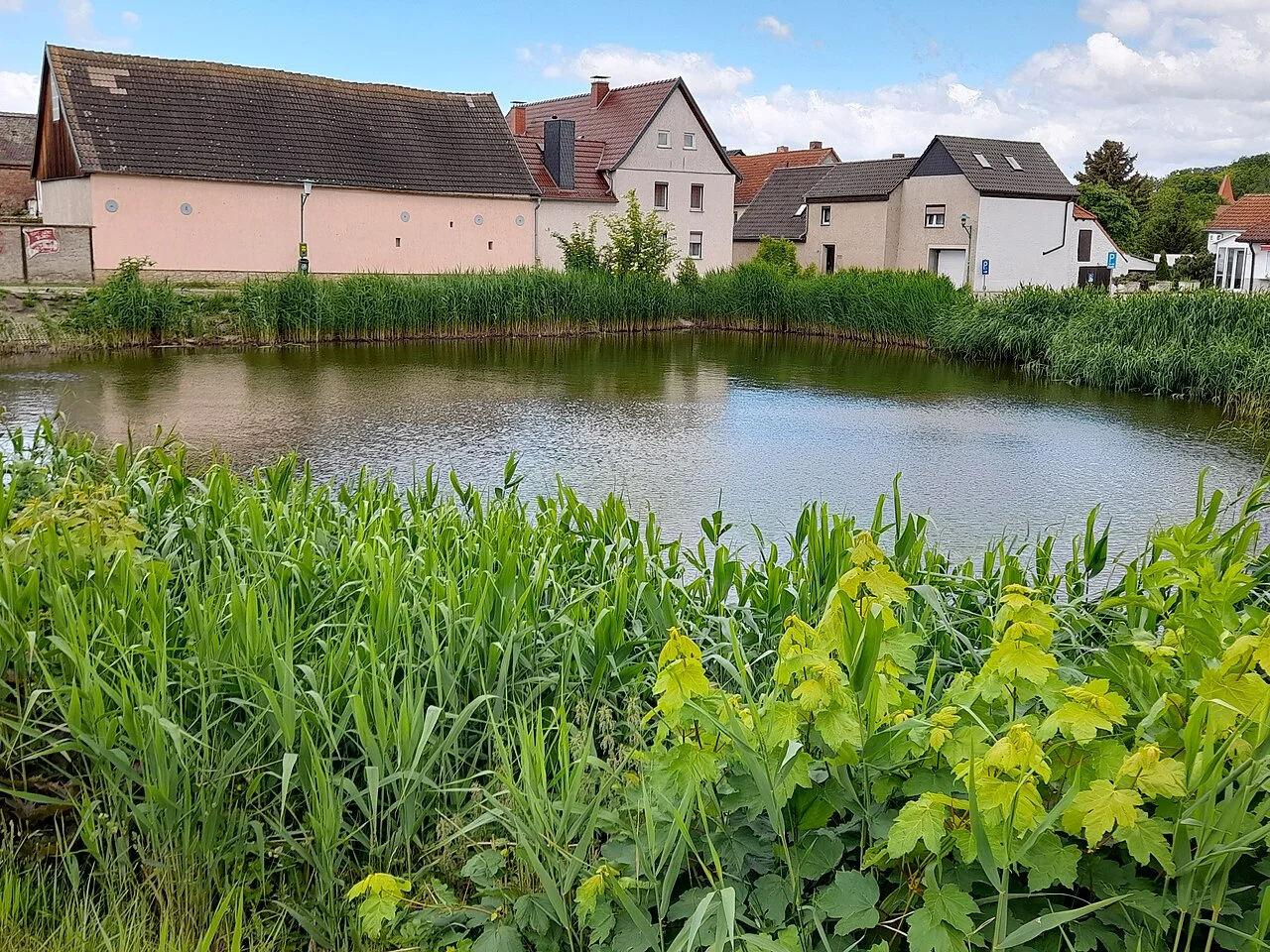 Photo of Schafstädt