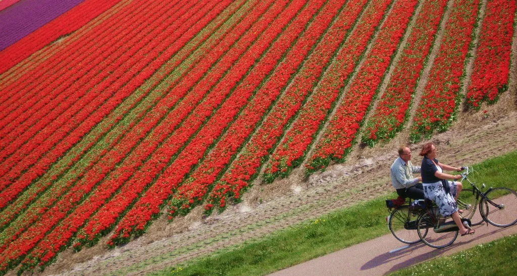 Photo of Schagerbrug