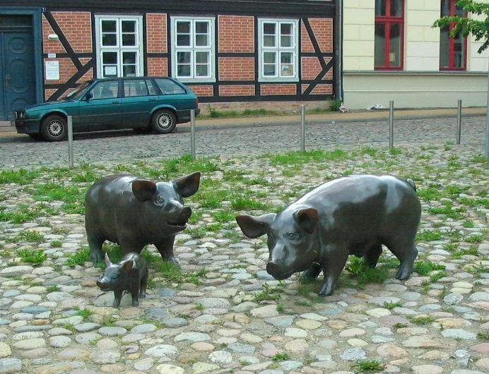 Photo of Schelfstadt