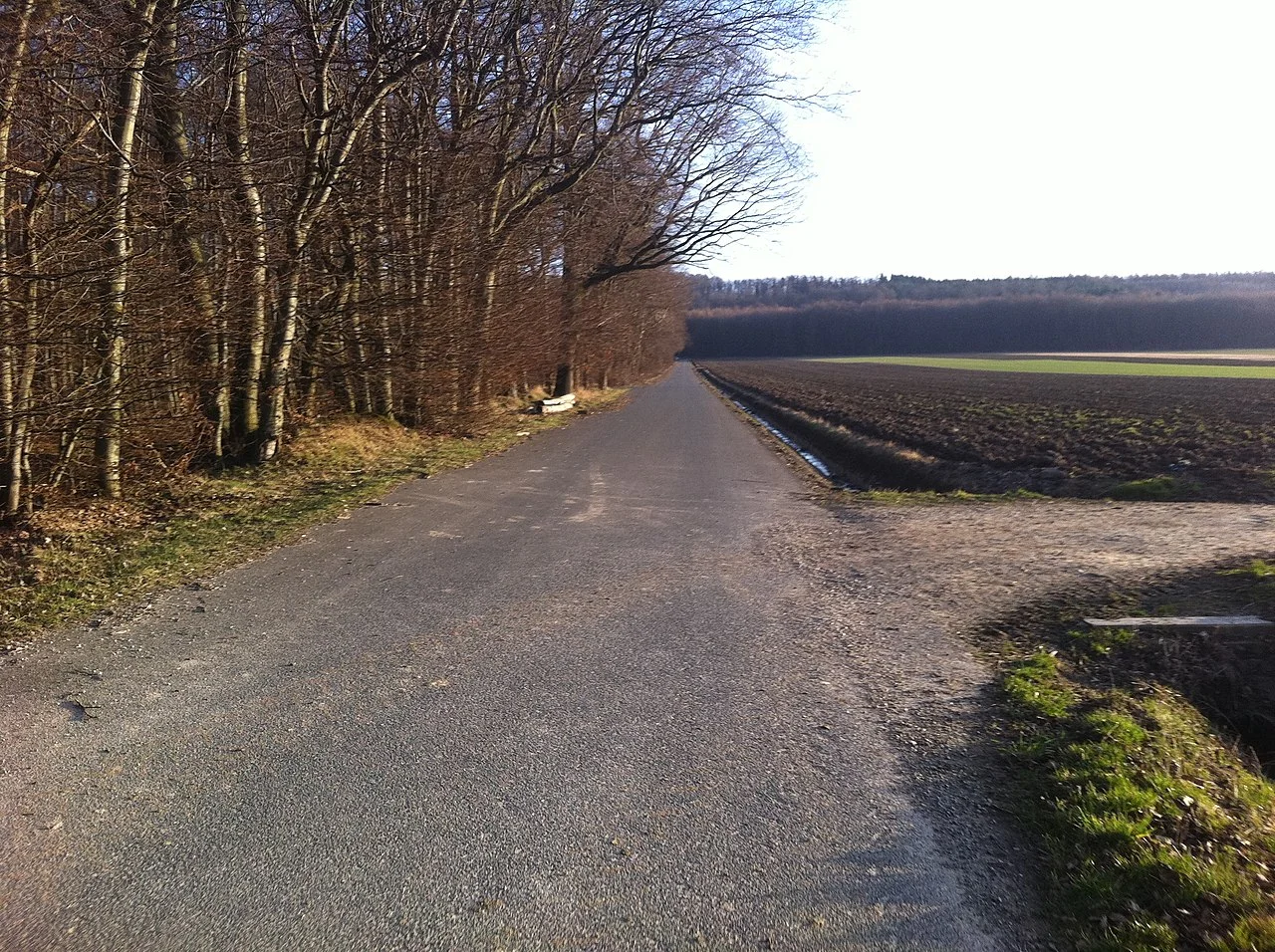 Photo of Schellerten