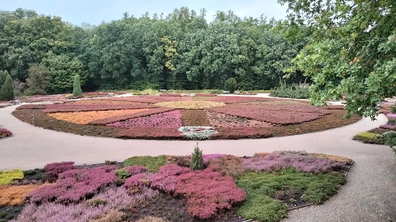 Photo of Schneverdingen