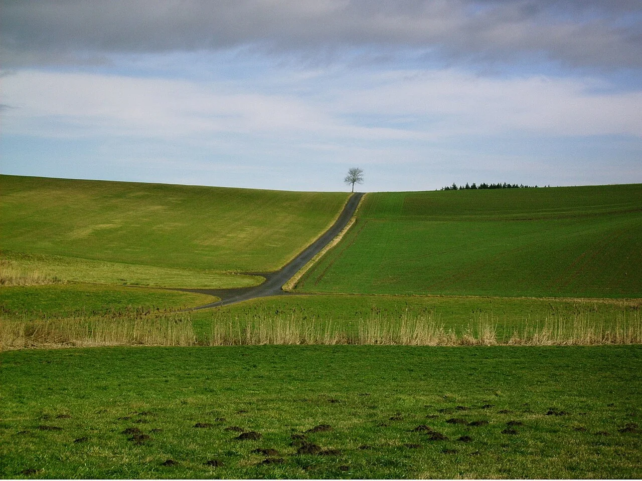 Photo of Schnürpflingen