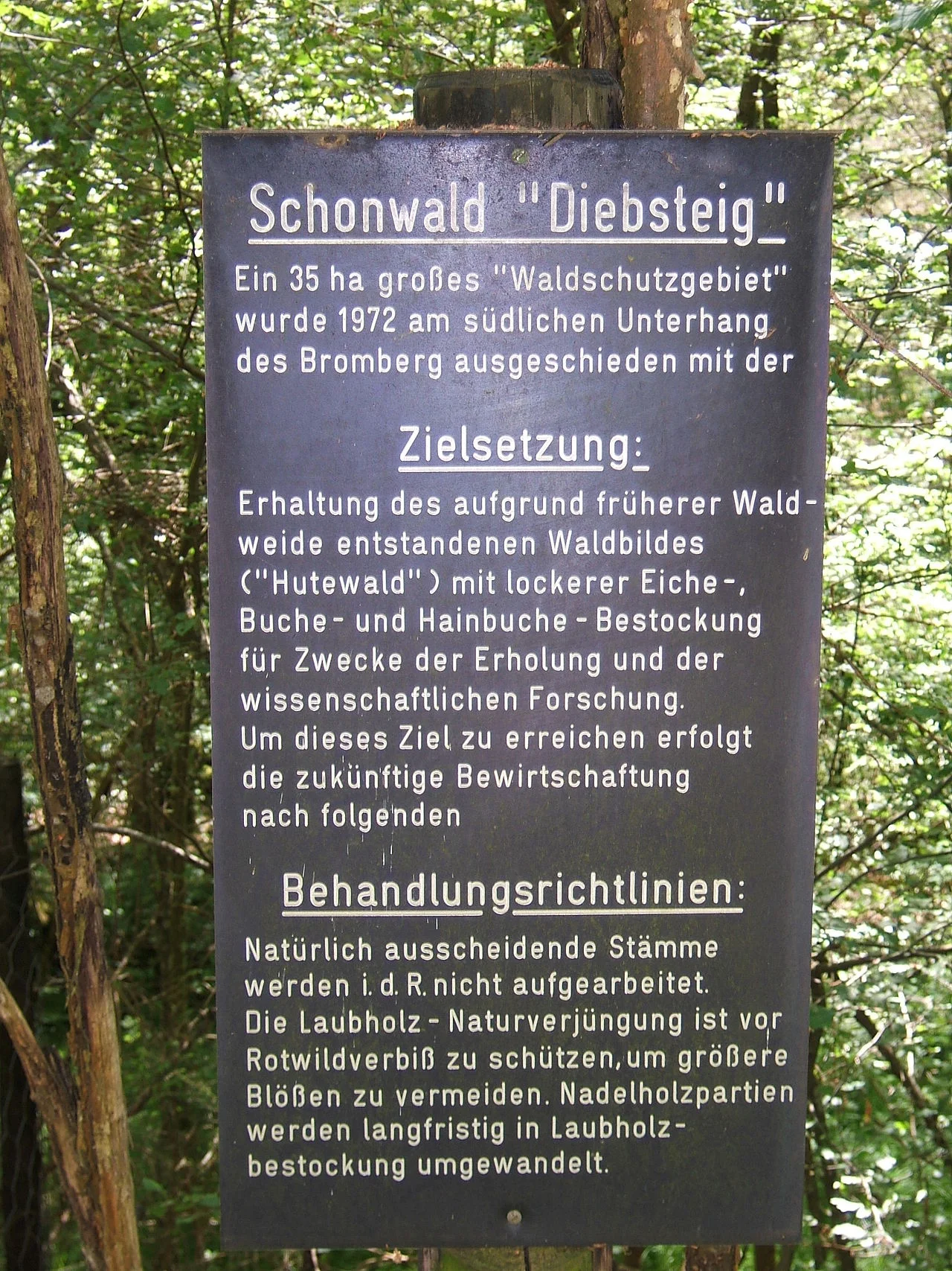 Photo of Schönwald