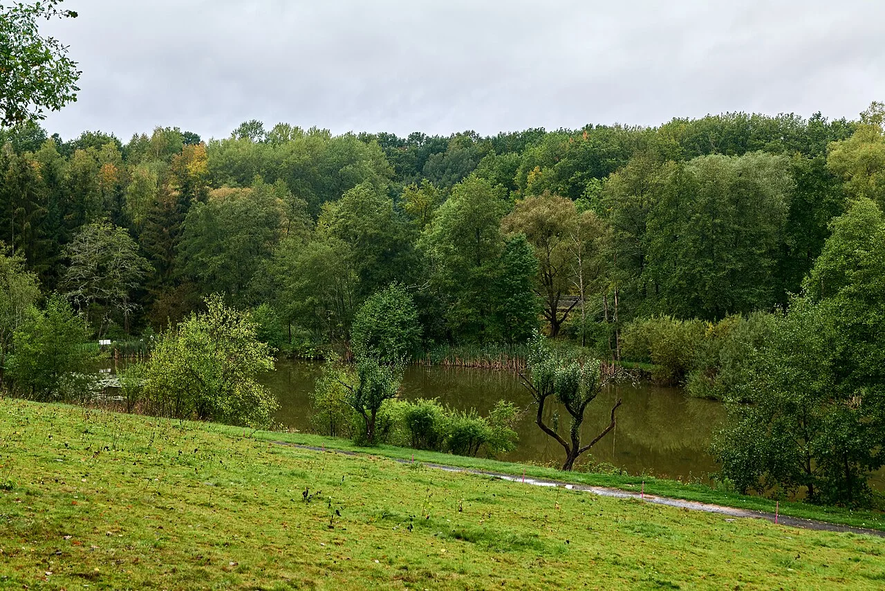 Photo of Schwalmstadt