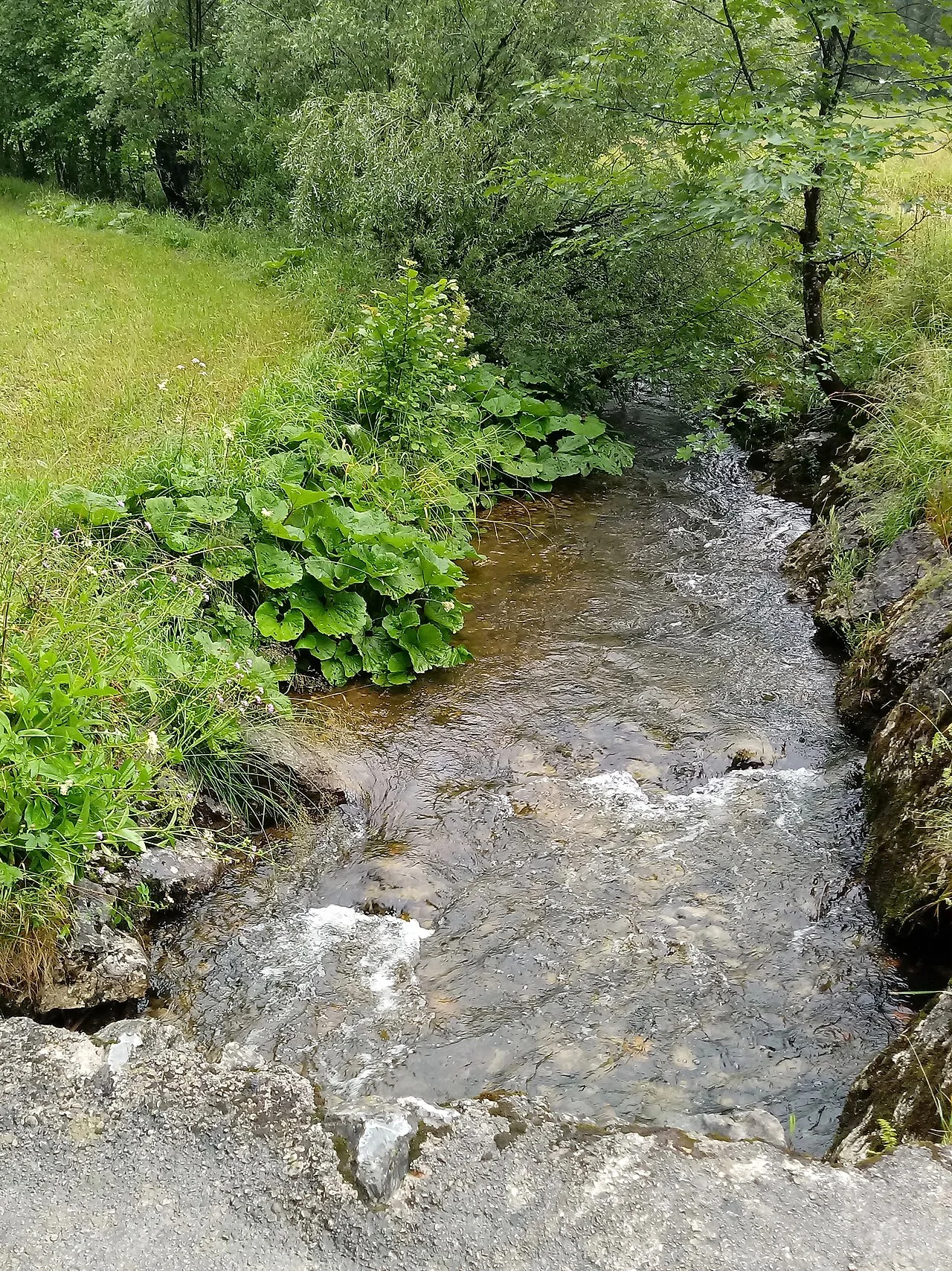 Photo of Schwarzenbach