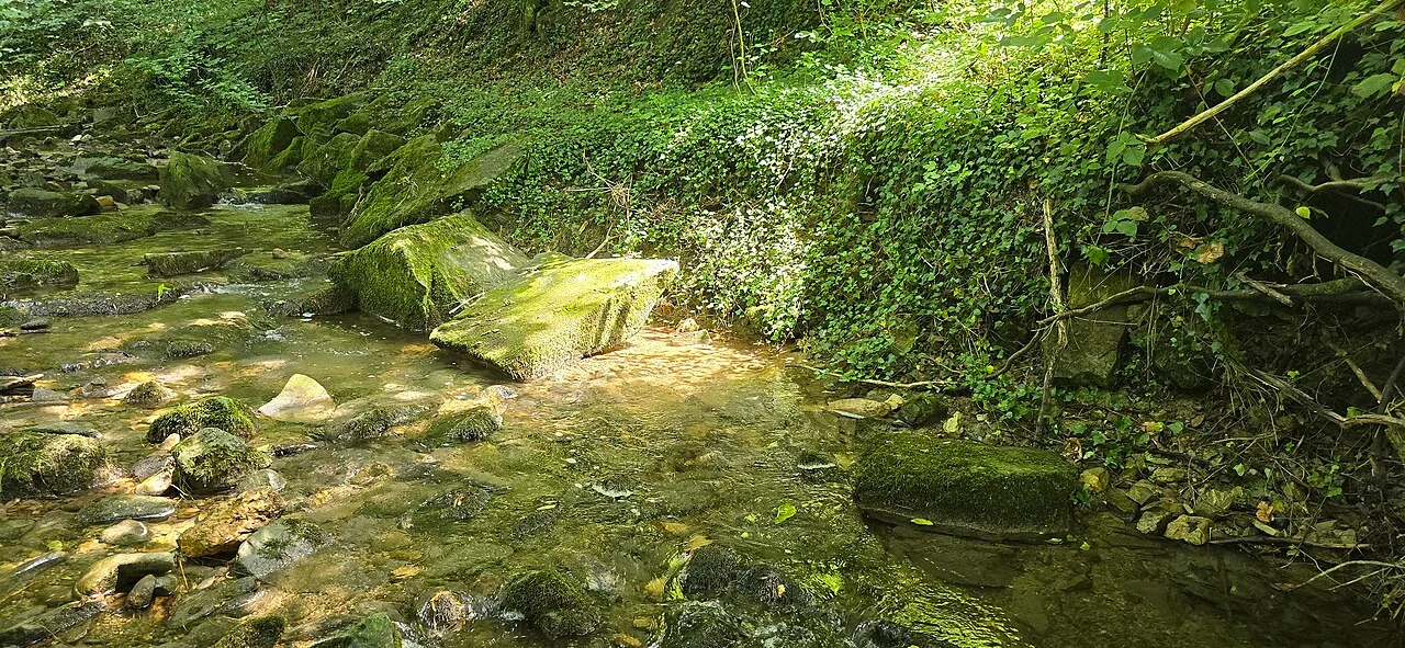 Photo of Schwarzenbach