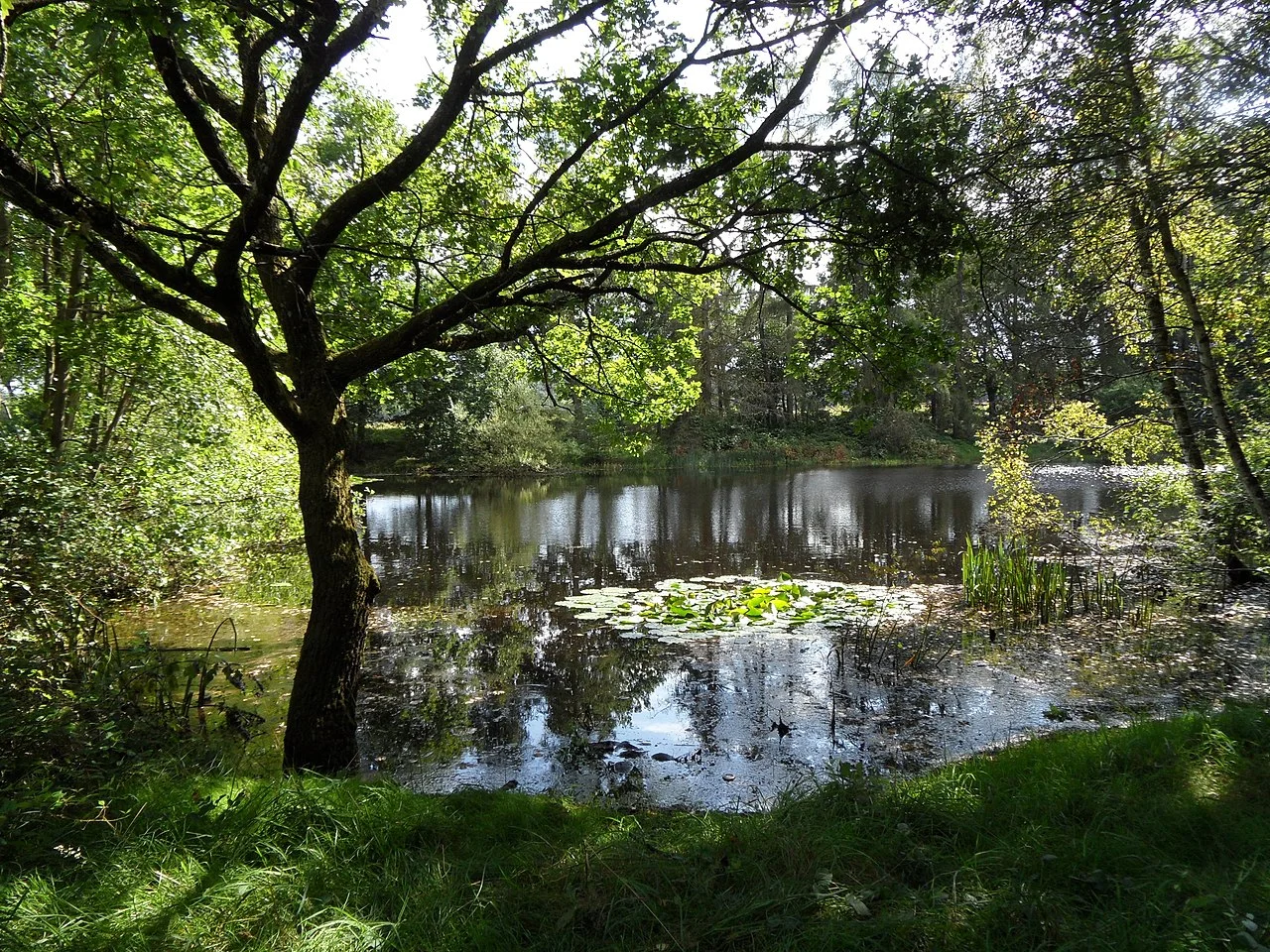 Photo of Schwedelbach