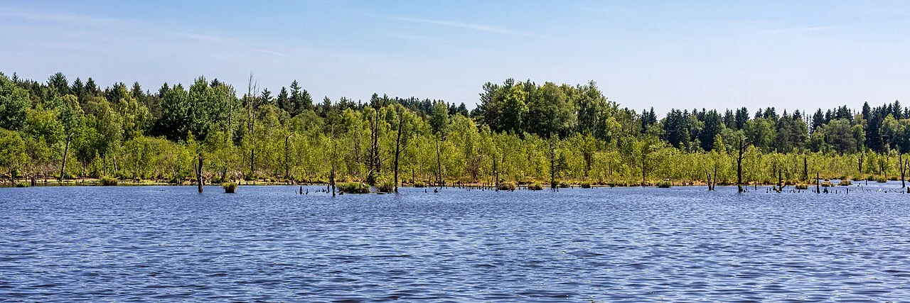 Photo of Schwenningen