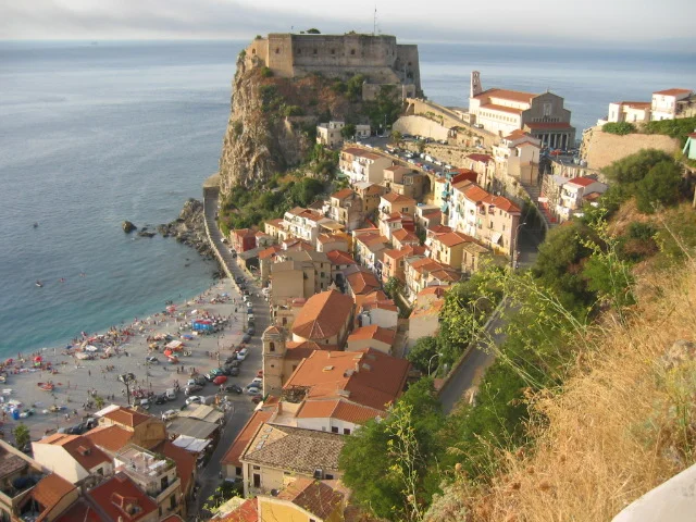 Photo of Scilla