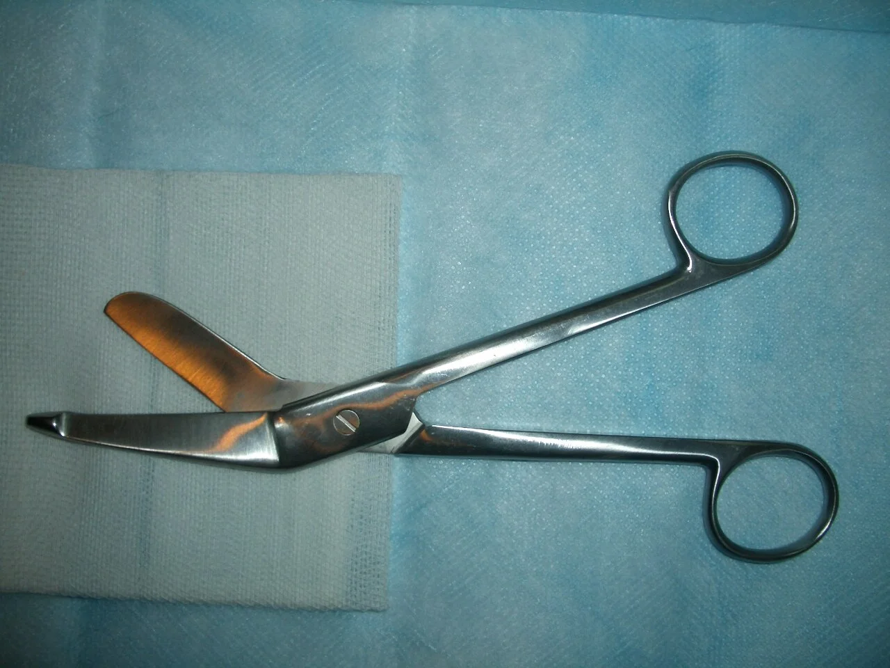 Photo of Scissors