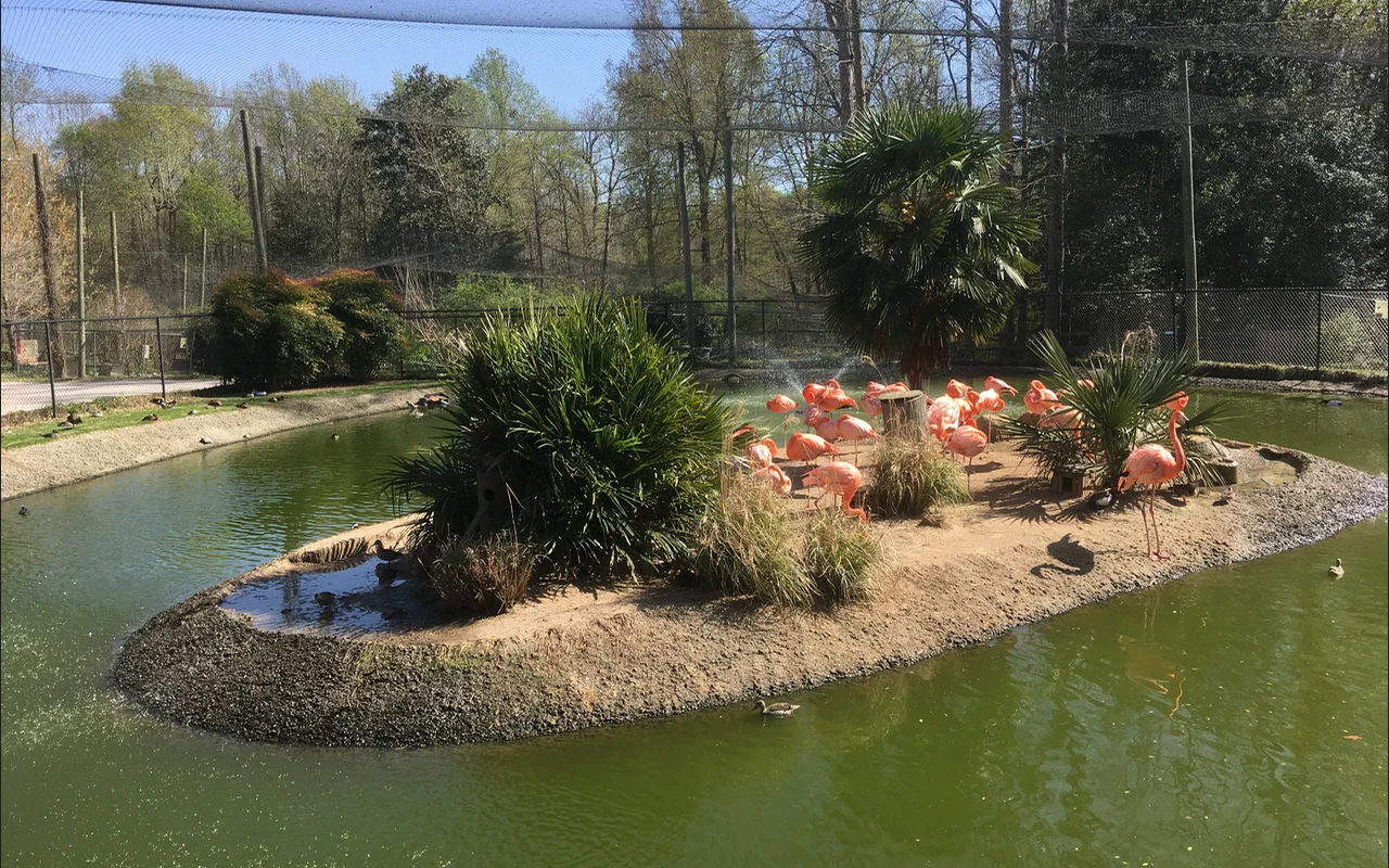 Photo of Scotland Neck