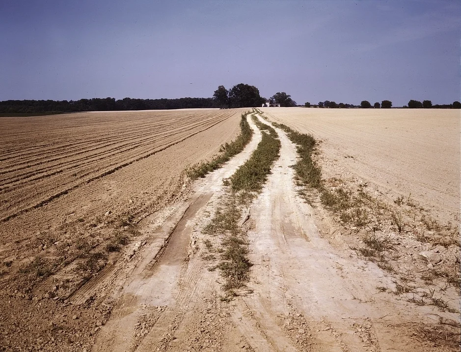 Photo of Seabrook Farms